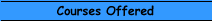 Courses Offered