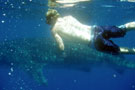 Snorkeling