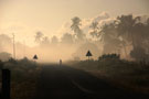 Dusty Road
