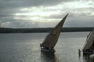 Dhows