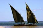 View the Tofo gallery